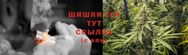 прущие грибы Верхнеуральск