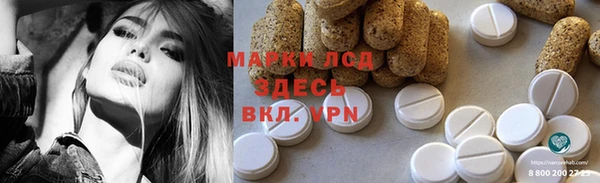 прущие грибы Верхнеуральск