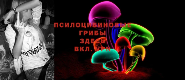 прущие грибы Верхнеуральск