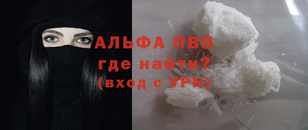 прущие грибы Верхнеуральск