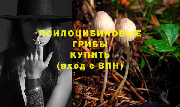 мдпв Дмитров