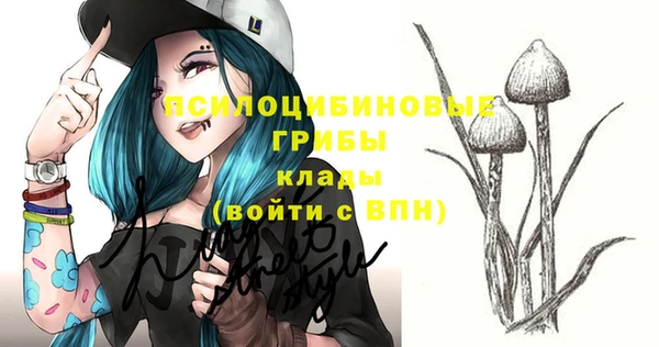 ешки Верея